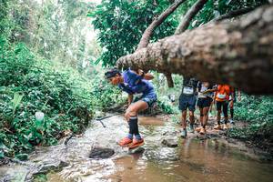 BIB: 
                            <button type="button" onclick="openModal(25374471)" class="btn btn-primary btn-sm float-right btn-popup" data-toggle="modal" data-target=".modal-high-quality">
                        <i class="fas fa-shopping-cart"></i> Add to Cart
                    </button>
                                            <button type="button" onclick="isThisMe(25374471, true)" class="btn btn-success btn-sm float-right btn-popup btn-isme hidden" data-toggle="tooltip" data-placement="bottom" title="นี่คือรูปของคุณใช่ไหม คลิกที่นี่เพื่อเอาเข้าอัลบั้ม">
                        <i class="fas fa-plus"></i> Add to album
                    </button>
                    <button type="button" onclick="isThisMe(25374471, false)" class="btn btn-warning btn-sm float-right btn-popup btn-isnotme hidden">
                        <i class="fas fa-ban"></i> Remove from album
                    </button>